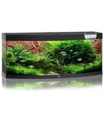 Juwel Vision 450 LED Aquarium - Zwart - 260, Dieren en Toebehoren, Ophalen of Verzenden, Gebruikt, Gevuld zoetwateraquarium