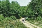 948732	Groesbeek	Gld 1970	_Nette oude kaart Onbeschreven, Verzamelen, Ansichtkaarten | Nederland, Ophalen of Verzenden, 1960 tot 1980