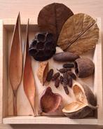 Amazone pakket 2, Ophalen of Verzenden, Nieuw