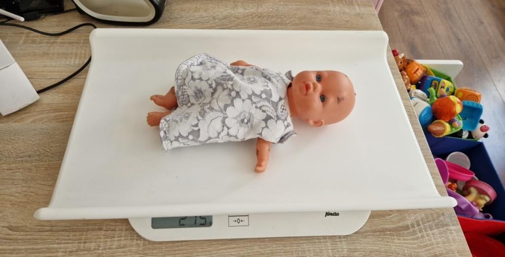 Alecto BC-10 - Baby- en peuterweegschaal Of dierenweegschaal, Ophalen of Verzenden, Gebruikt, Overige typen, Overige merken