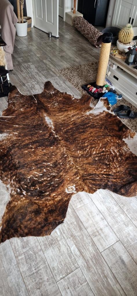 Koeien kleed xxl, Ophalen, Gebruikt, 200 cm of meer, 200 cm of meer