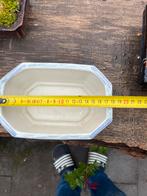 Bonsai schaal, Ophalen of Verzenden, Zo goed als nieuw