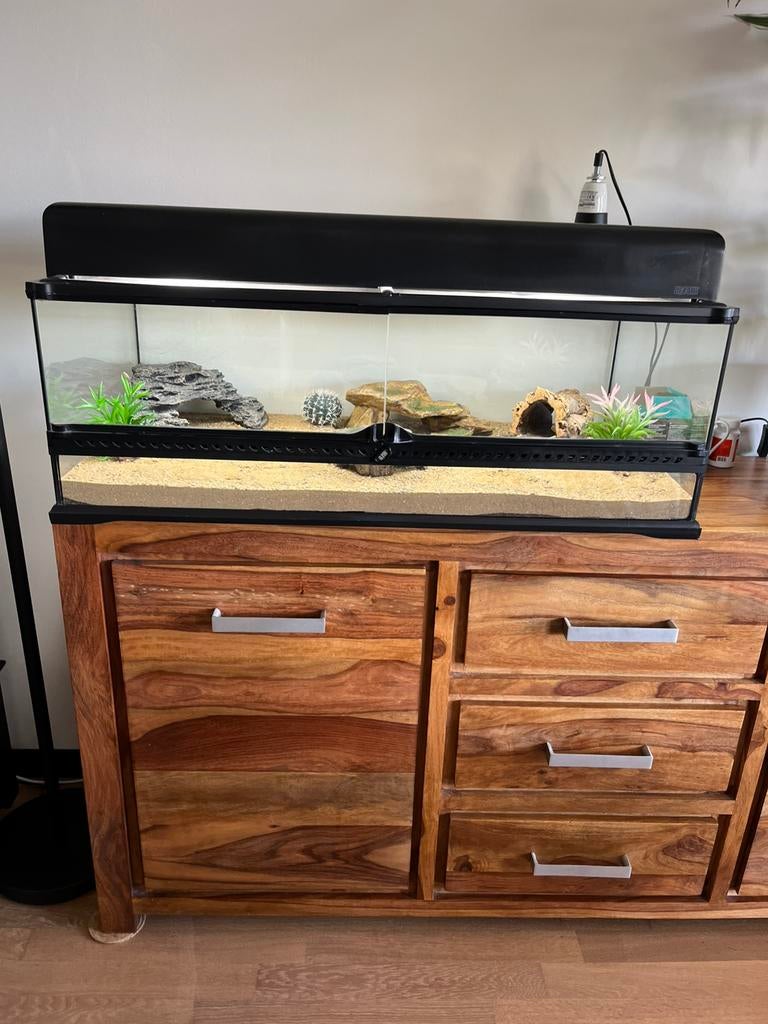 Exo terra terrarium 90x30x45, Ophalen, Zo goed als nieuw