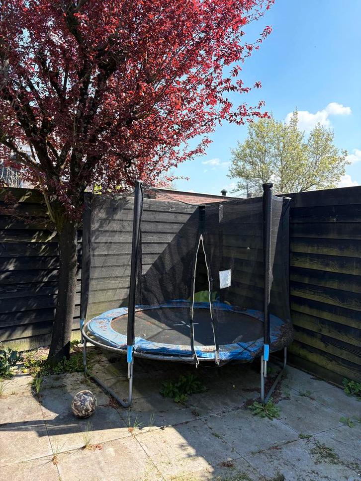 Trampoline 2,44m met veiligheidsnet - Tegen kratje Texels, Kinderen en Baby's, Speelgoed | Buiten | Trampolines, Gebruikt, Ophalen