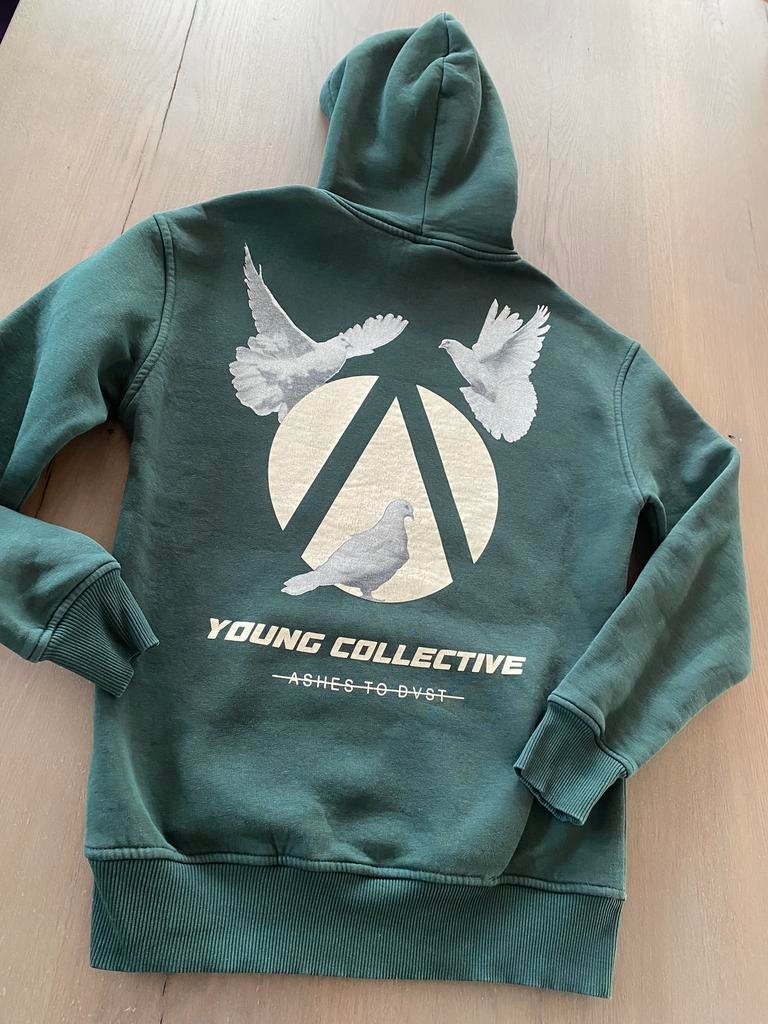 Hoodie Ashes to Dust maat S Zgan, Ophalen of Verzenden, Zo goed als nieuw, Maat 48/50 (M), Groen