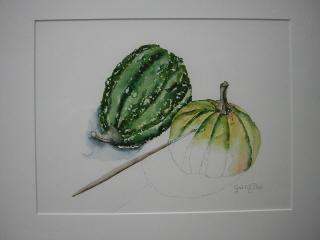 Kalabassen 50x40, Ophalen