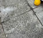 Gratis tegels, Ophalen, Gebruikt, Beton, Terrastegels