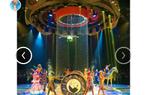 4 AH vouchers voor theatershow Efteling, Ophalen of Verzenden, Nieuw, Overige typen