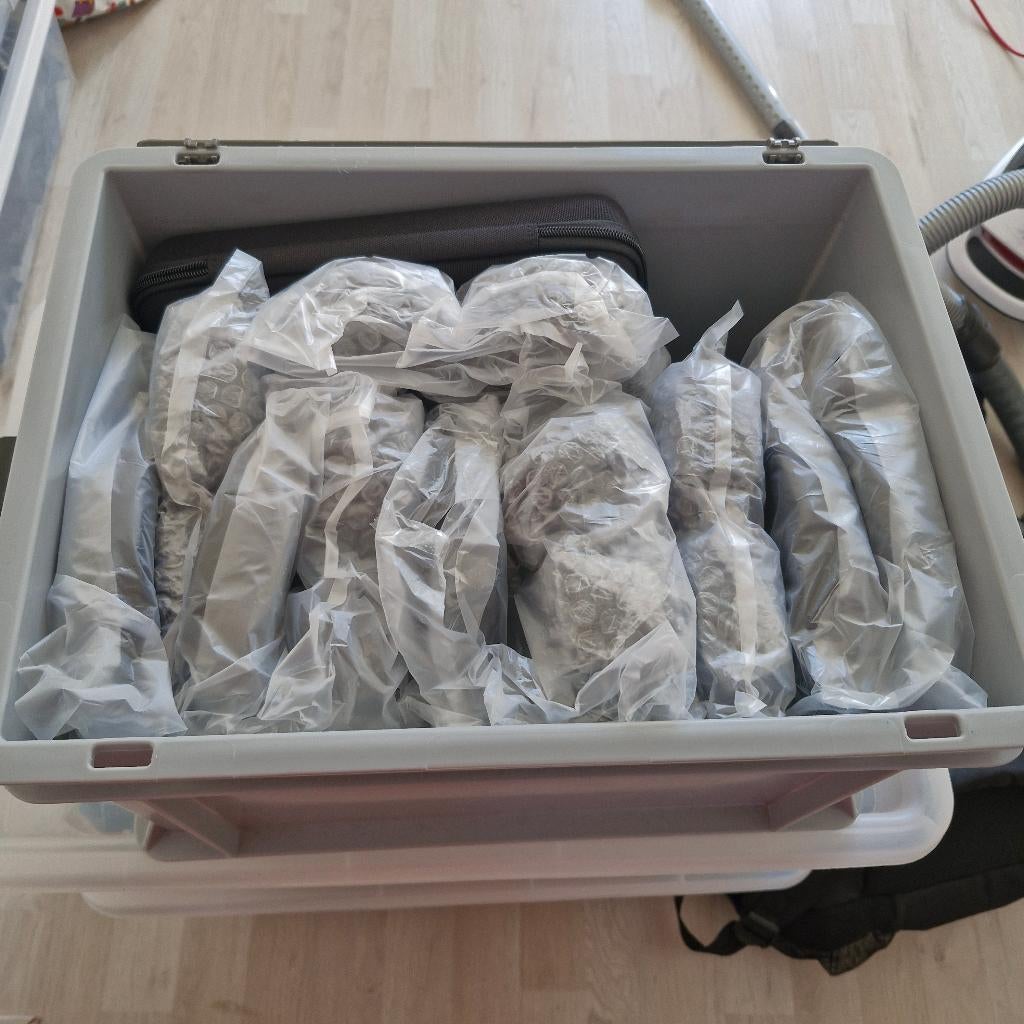 Te Koop Silent Disco, Ophalen, Nieuw