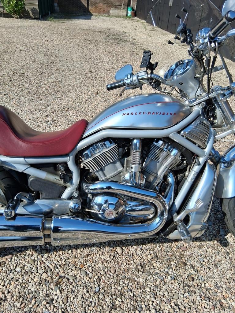 Harley Davidson V-Rod 2001 24d km, Motoren, Motoren | Harley-Davidson, 2 cilinders, Chopper, 1130 cc, Particulier