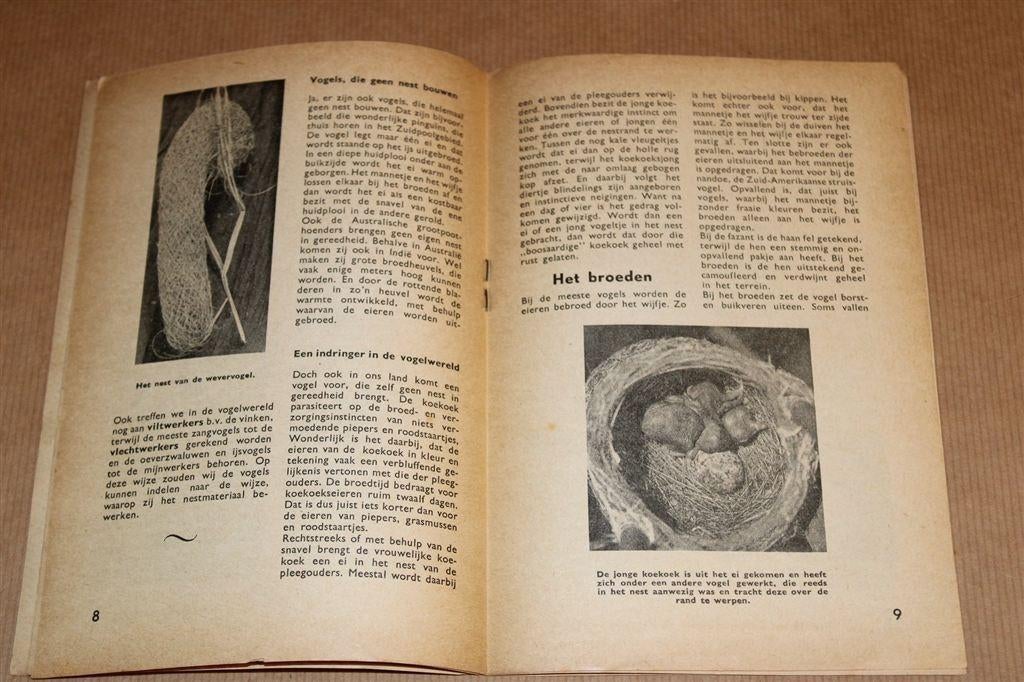 In Mei Leggen Alle Vogels een Ei [1947] — Vintage Boekje, Boeken, Ophalen of Verzenden, Gelezen, Vogels