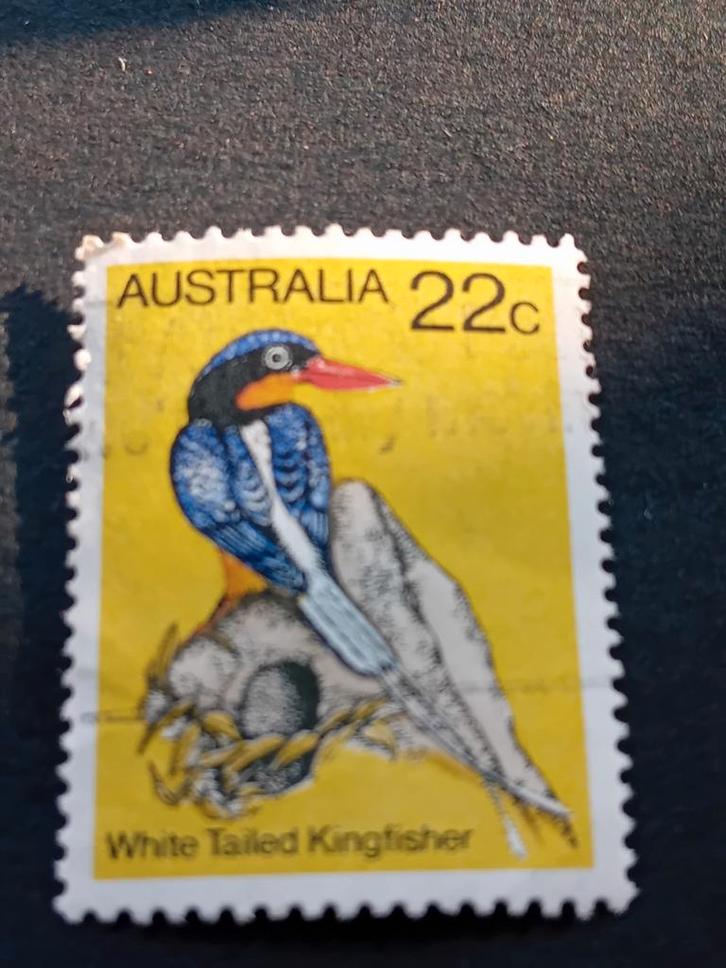 Australische postzegel: White Tailed Kingfisher 22c, Postzegels en Munten, Postzegels | Thematische zegels, Postfris, Ophalen of Verzenden