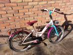 Kinderfiets Alpina 20 inch - Gebruikt maar prima staat, Fietsen en Brommers, Fietsen | Kinderfietsjes, Ophalen, Gebruikt, 20 inch of meer