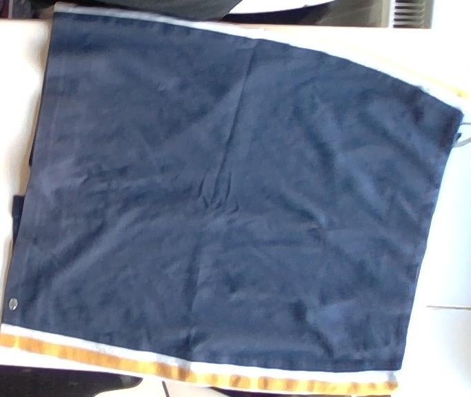 leuke blauwe rok dames, Blauw, Tence, Gedragen, Boven de knie