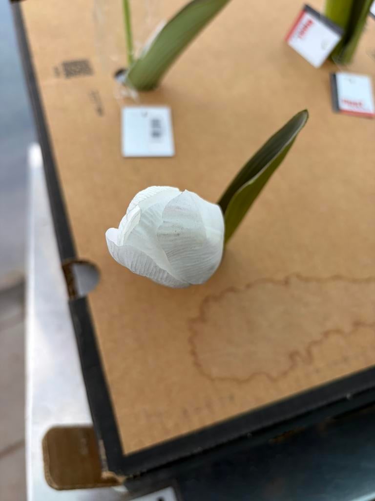 Kunst bloemen tulp, Huis en Inrichting, Ophalen