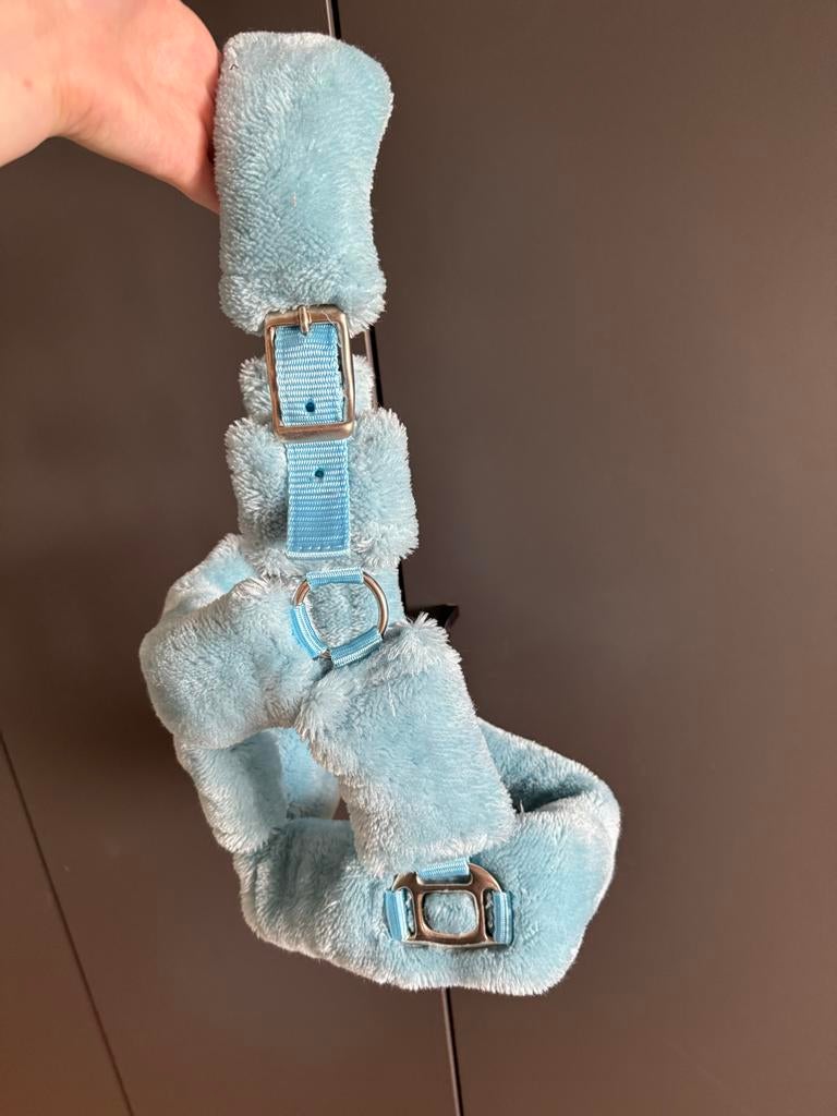 Blauw bond halster, Dieren en Toebehoren, Ophalen of Verzenden