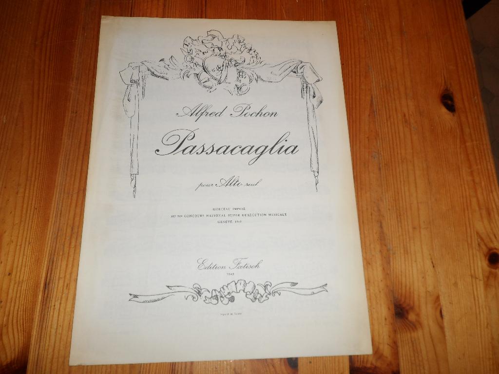 Alfred pochon - passacaglia, Gebruikt, Klassiek, Ophalen of Verzenden, Viool of Altviool