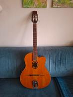 Django Richwood gitaar., Ophalen, Gebruikt, Western- of Steelstringgitaar