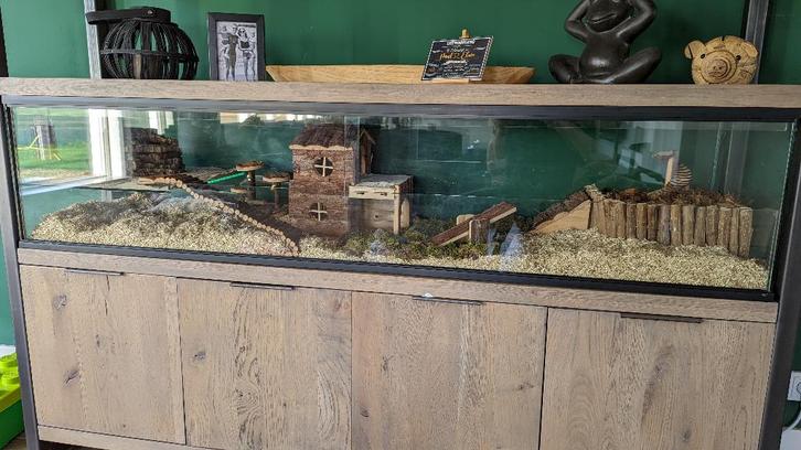 Glazen hamsterkooi maatwerk met schuifruiten, Dieren en Toebehoren, Knaagdieren en Konijnen | Hokken en Kooien, Nieuw, Hok, Minder dan 60 cm