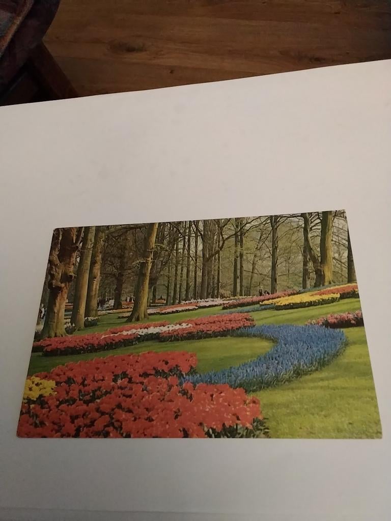 KEUKENHOF LISSE. 1975, Ophalen of Verzenden, 1960 tot 1980