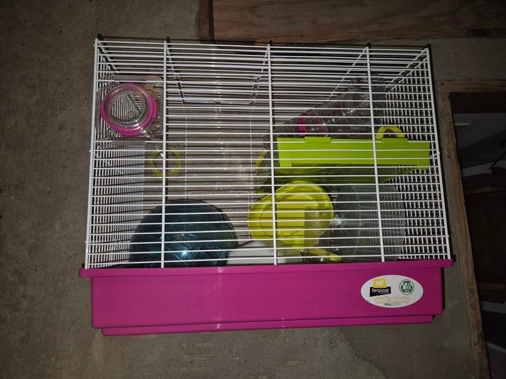 Hamsterkoooi, Dieren en Toebehoren, Minder dan 60 cm, Kooi, Minder dan 75 cm, Ophalen of Verzenden