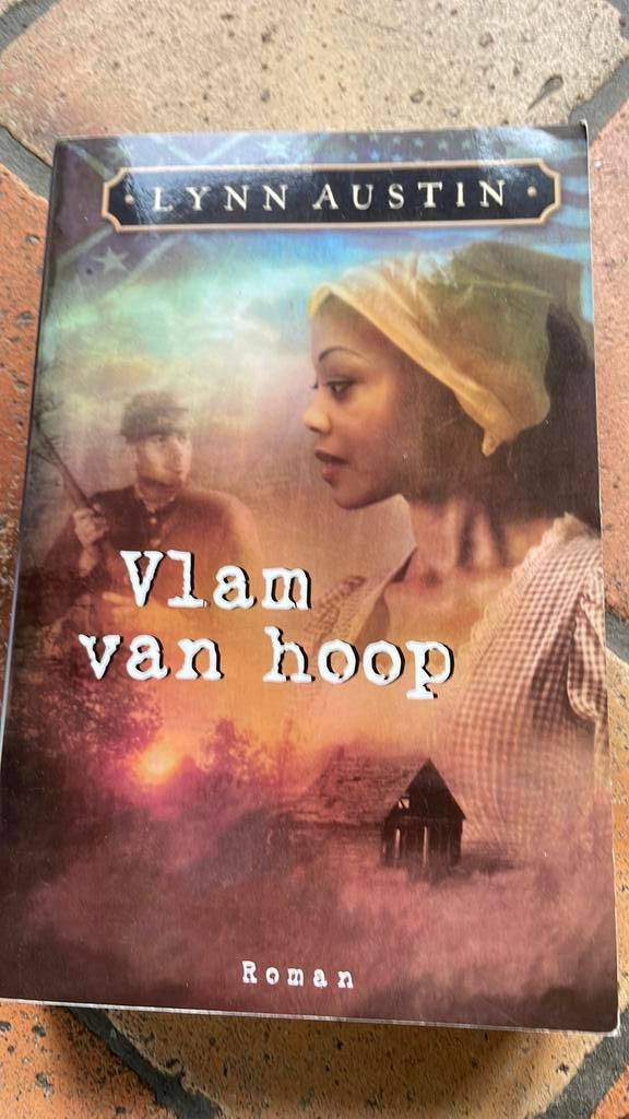 Lynn Austin - Vlam van hoop, Boeken, Ophalen of Verzenden, Zo goed als nieuw, Lynn Austin