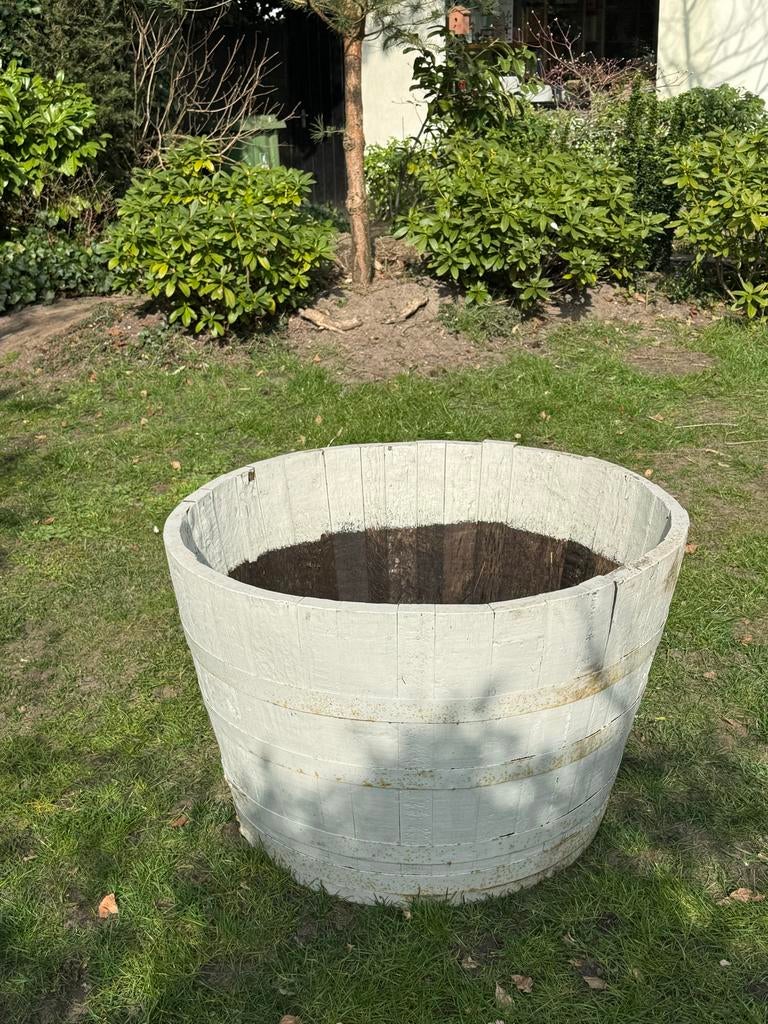 Halve regenton / Wijnvat als plantenbak, Tuin en Terras, Bloembakken en Plantenbakken, Ophalen, Gebruikt, Rond, 60 tot 100 cm