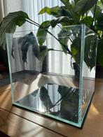 Aquarium: Superfish Scaper Qube 25L Tank, Ophalen, Leeg aquarium