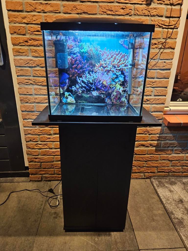 Aquarium van het merk superfish model 50, Ophalen, Zo goed als nieuw, Leeg aquarium