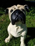 Mops hond, Ophalen, Dierenbeeld, Kunststof, Onbekend