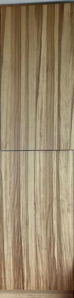 Kast 64Bx41Dx265H cm met planken en 2 deuren., Ophalen, 200 cm of meer, 50 tot 100 cm, Zo goed als nieuw