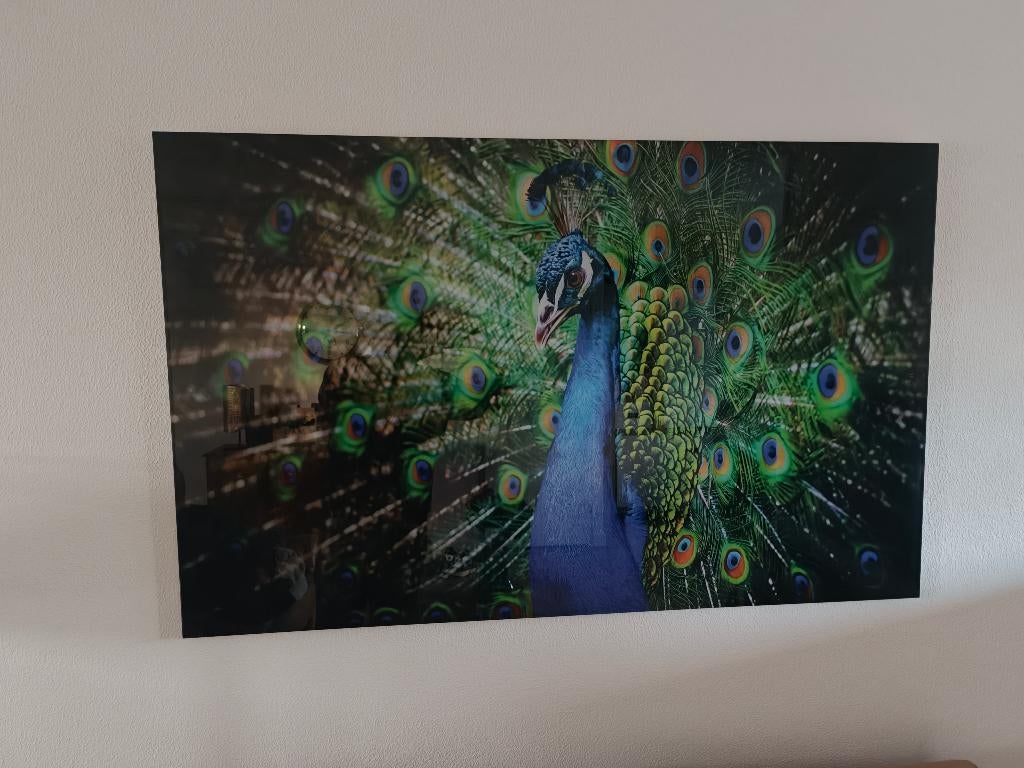 Werk aan de muur, Huis en Inrichting, Ophalen, Zo goed als nieuw, Schilderij, 75 cm of meer