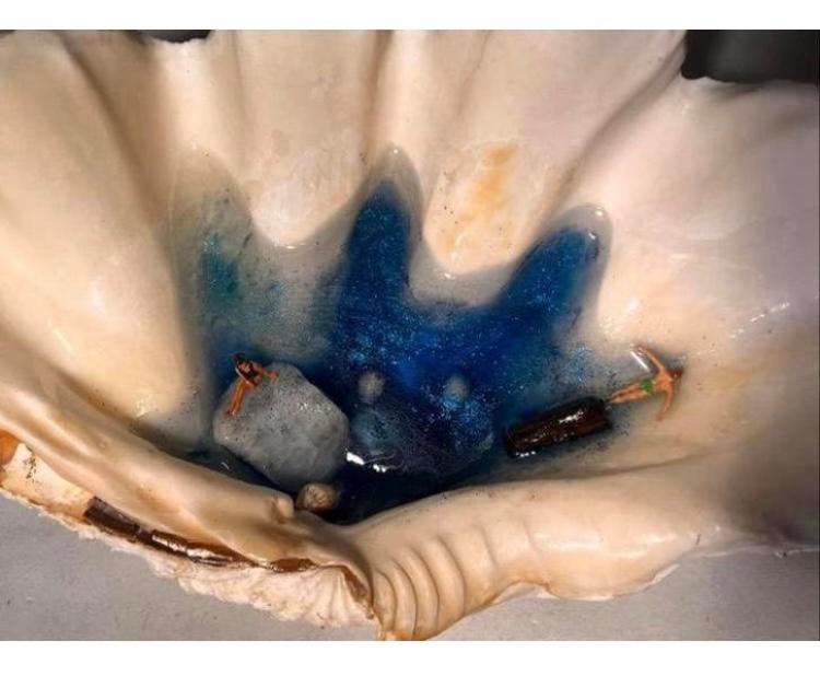 Grote schelp met strandtafereel in epoxy, Antiek en Kunst, Ophalen of Verzenden