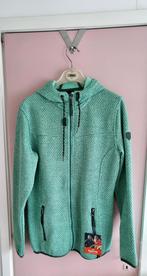 Nieuw Kjelvik Vest Maat 38 (M), Maat 38/40 (M), Nieuw, Ophalen of Verzenden, Kjelvik