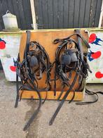 2 span tuig paard zwaar, Dieren en Toebehoren, Paarden en Pony's | Hoofdstellen en Tuigage, Ophalen, Lytsbegin, Gebruikt, Hofstra_j@online.nl
