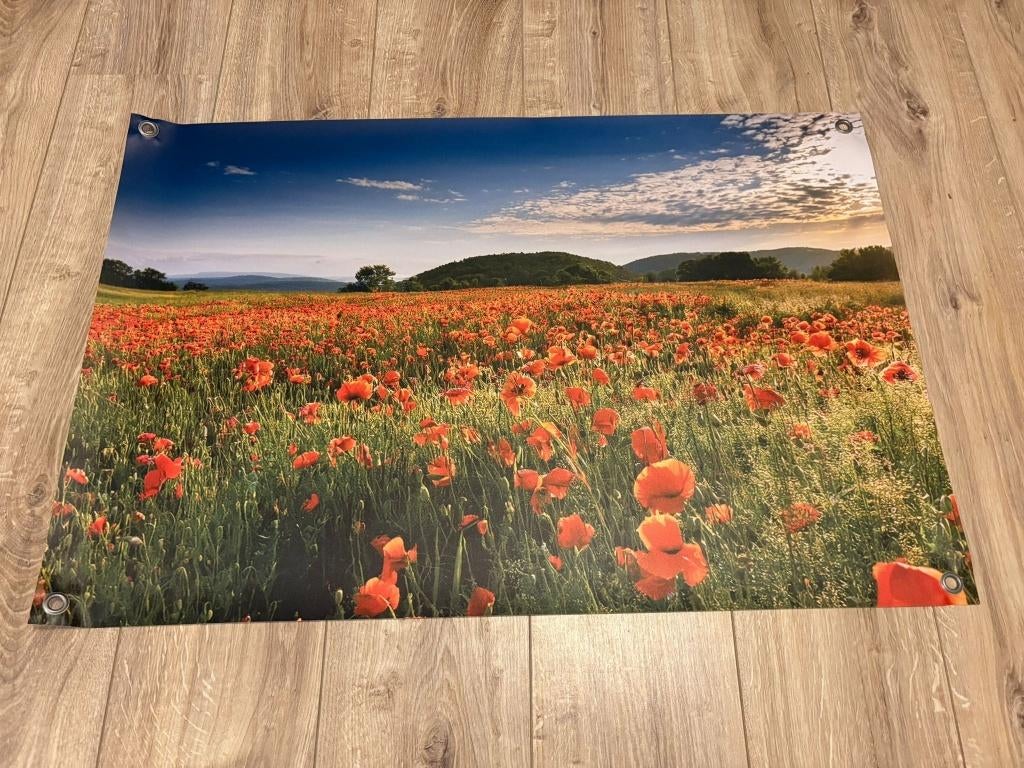 Tuinposter Klaprozenveld 90 x 60cm, Tuin en Terras, Tuinwanddecoratie, Ophalen of Verzenden, Nieuw