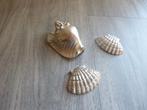 3 schelpen Riviera maison,aluminium/tropical shell mtm,nieuw, Huis en Inrichting, Ophalen of Verzenden, Nieuw