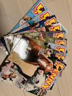 10 Leuke penny strips, Ophalen of Verzenden, Gelezen, Overige typen