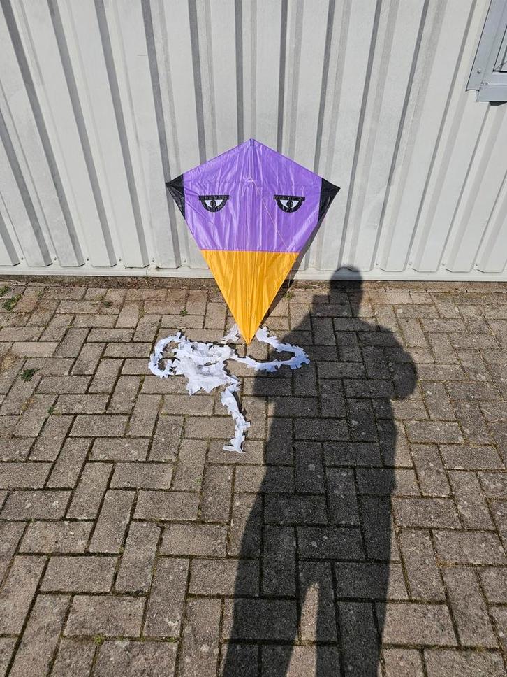 Eddy Kinder Vlieger 90x80 cm - Paars/Geel, Sport en Fitness, Vliegeren, Gebruikt, Vlieger, Eenlijns, Ophalen of Verzenden