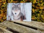 schitterende levens echte schilderij met wolf erop, Ophalen of Verzenden, Zo goed als nieuw, Schilderij, Minder dan 50 cm