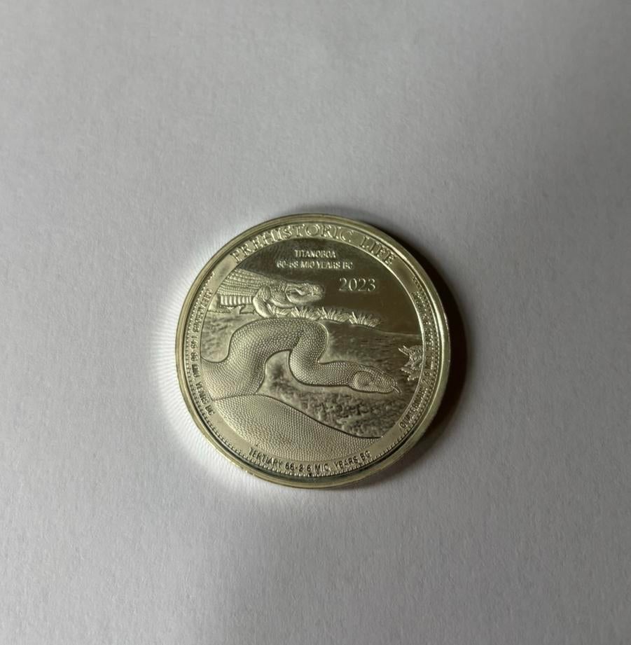 Zilveren 1 oz munt, Verzenden, Overige landen, Zilver
