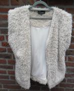 Elvira supergave nieuwe fluffy bodywarmerXL, Kleding | Dames, Beige, Maat 46/48 (XL) of groter, Nieuw, Ophalen of Verzenden