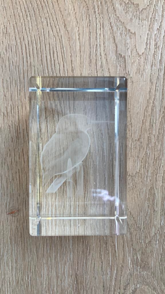 Ijsvogel met laser gemaakt van glas, Ophalen, Zo goed als nieuw, Beeldje of Figuurtje