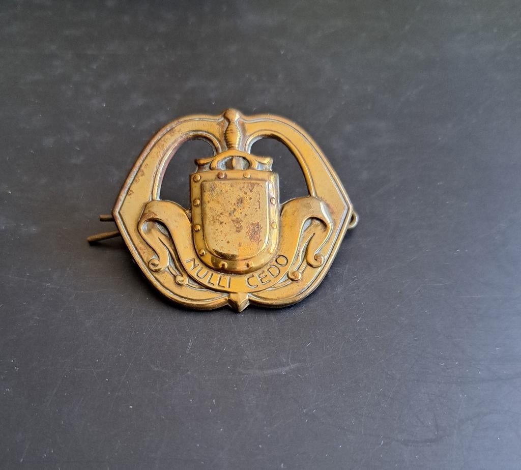 Baret embleem oogjes direct Infanterie, Ophalen of Verzenden, Landmacht, Nederland, Embleem of Badge