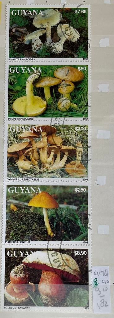 Kaveltje postzegels Guyana; paddenstoelen, Ophalen of Verzenden, Gestempeld, Dier of Natuur