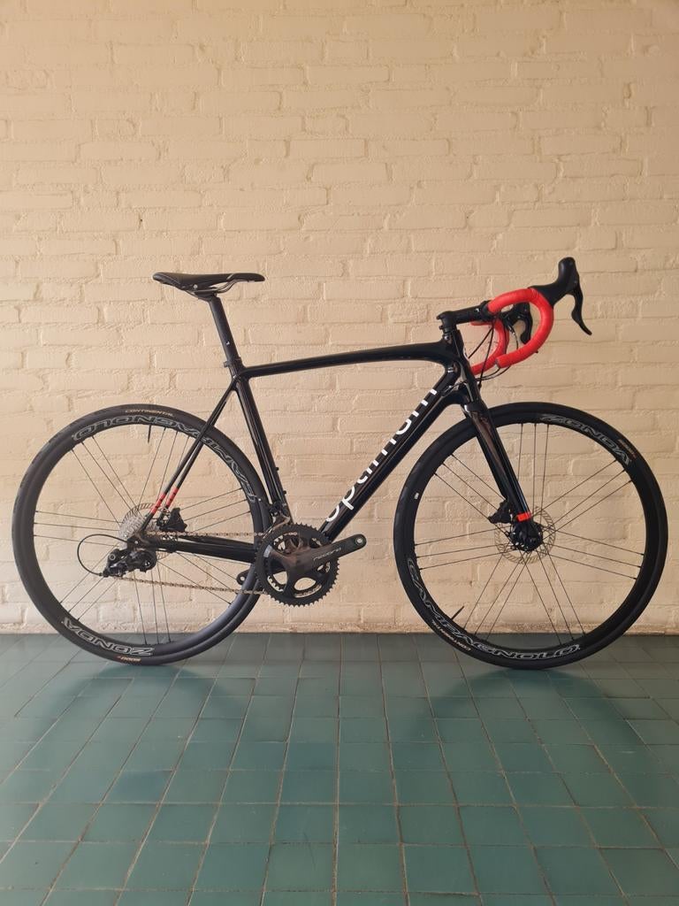 Nieuwe Endurance racer Carbon Campagnolo Chorus, Fietsen en Brommers, 28 inch, Carbon, Heren, Nieuw