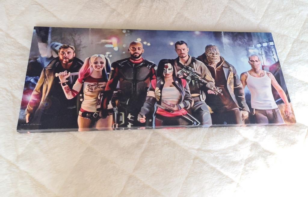 Canvas Suicide Squad, Ophalen of Verzenden, Zo goed als nieuw