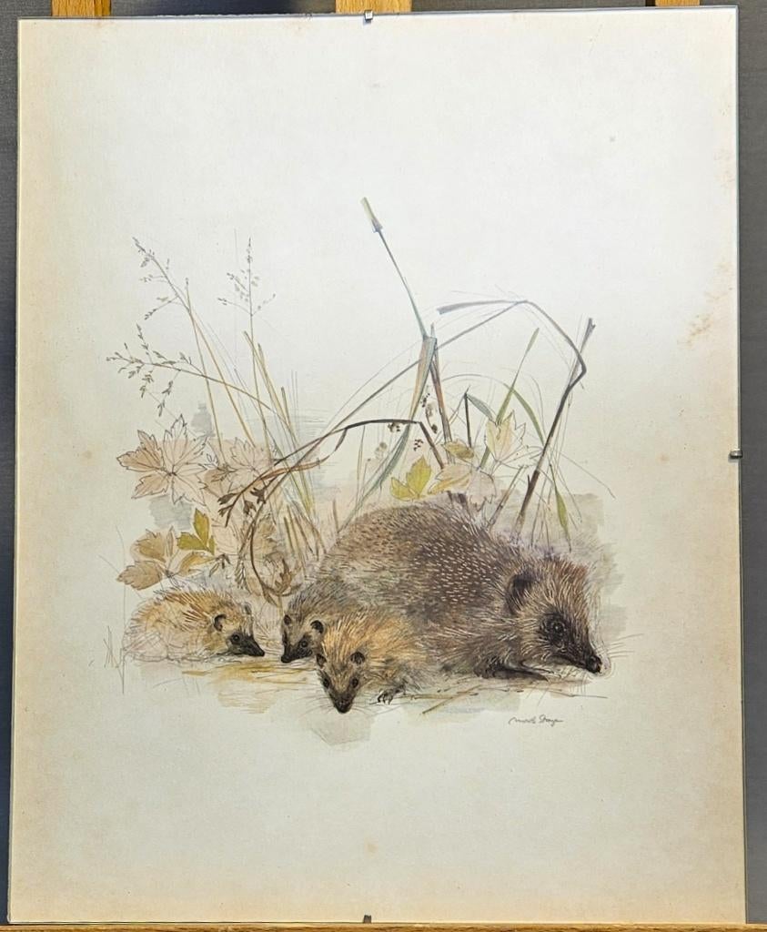 Een moeder-egel met haar jongen, Verzenden