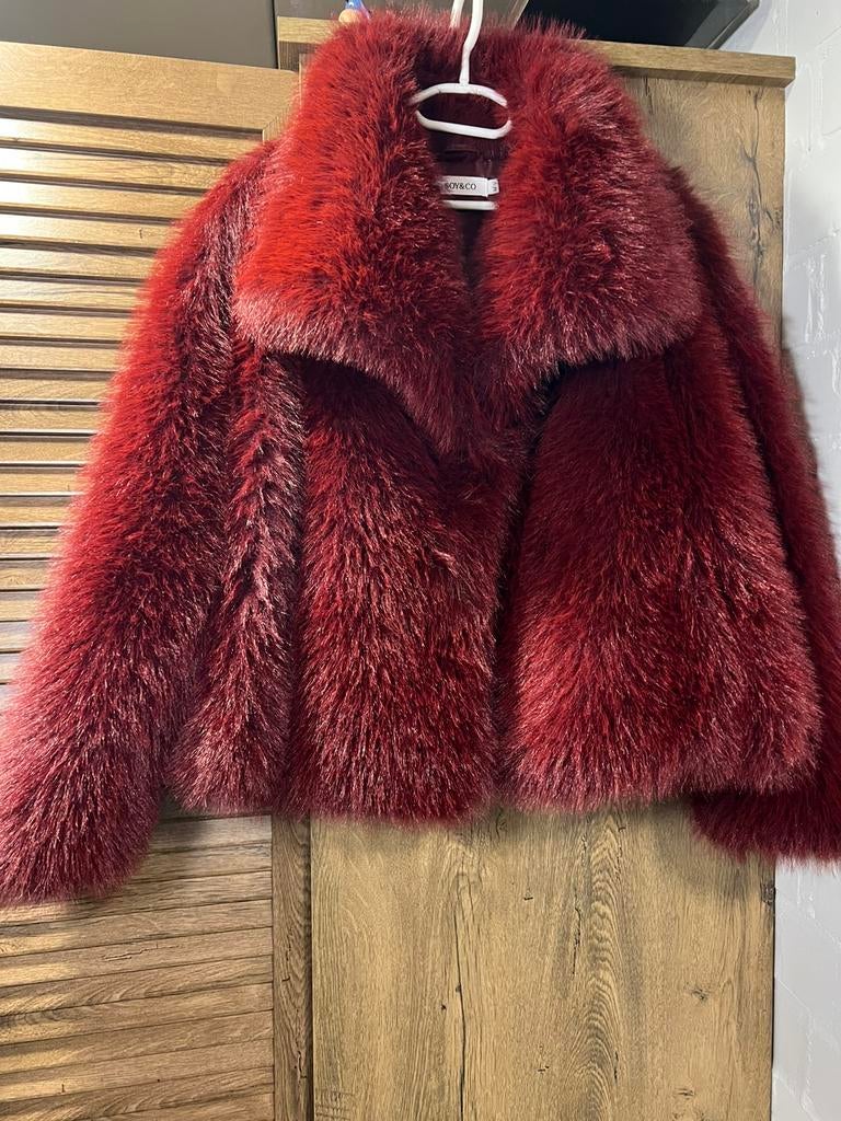 hele mooie bontjas, Kleding | Dames, Jassen | Winter, Ophalen of Verzenden, Zo goed als nieuw, Maat 42/44 (L), Rood