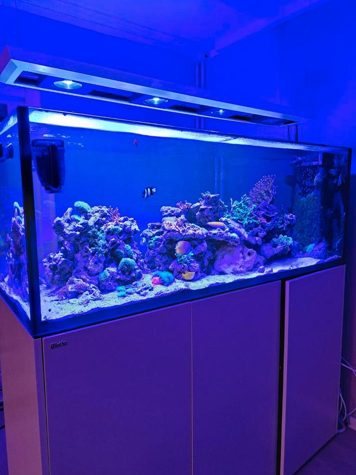 Doorkijk Roomdivider Peninsula, Dieren en Toebehoren, Vissen | Aquaria en Toebehoren, Leeg aquarium, Ophalen